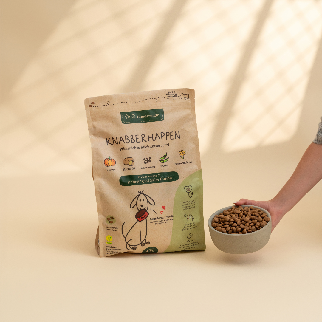 Warum pflanzliche Hundeernährung sinnvoll ist – und wie du den Einstieg findest