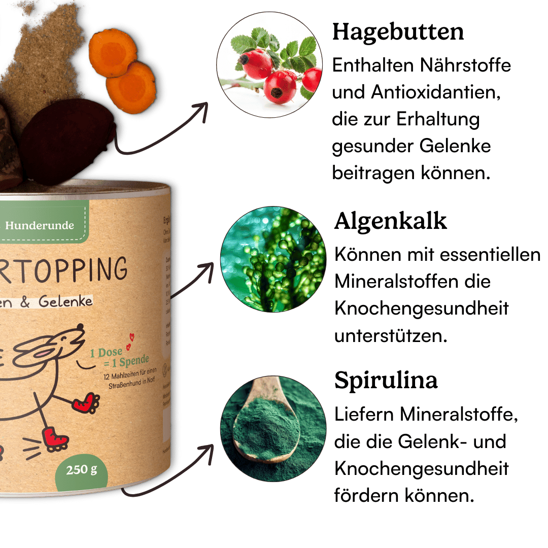 Illustration mit Zutaten des Topping Vorteilspaket (Hagebutten, Algenkalk, Spirulina) und ihrem Nutzen für die Gelenke und Knochen von Hunden.