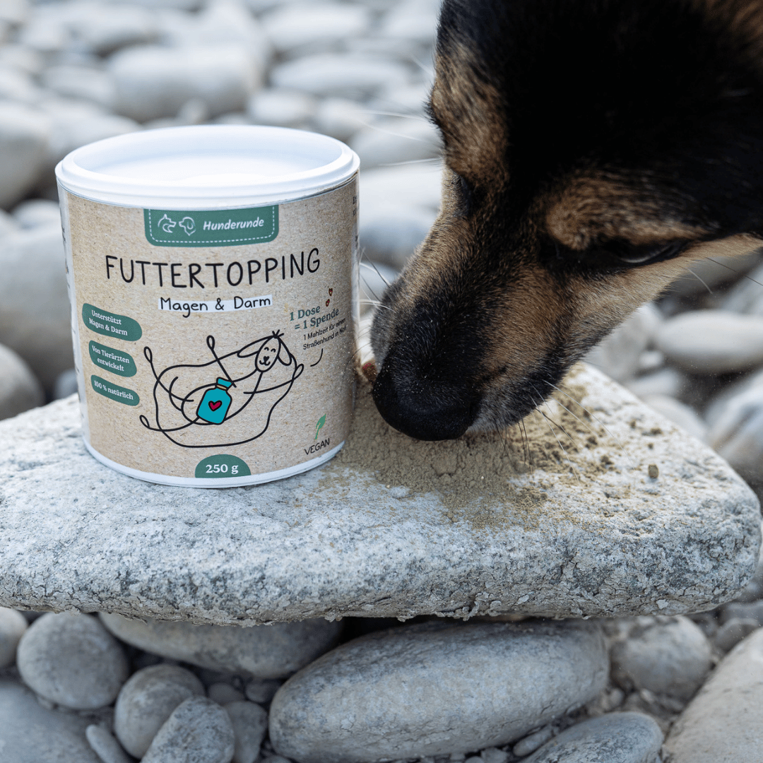 Futtertopping Magen & Darm