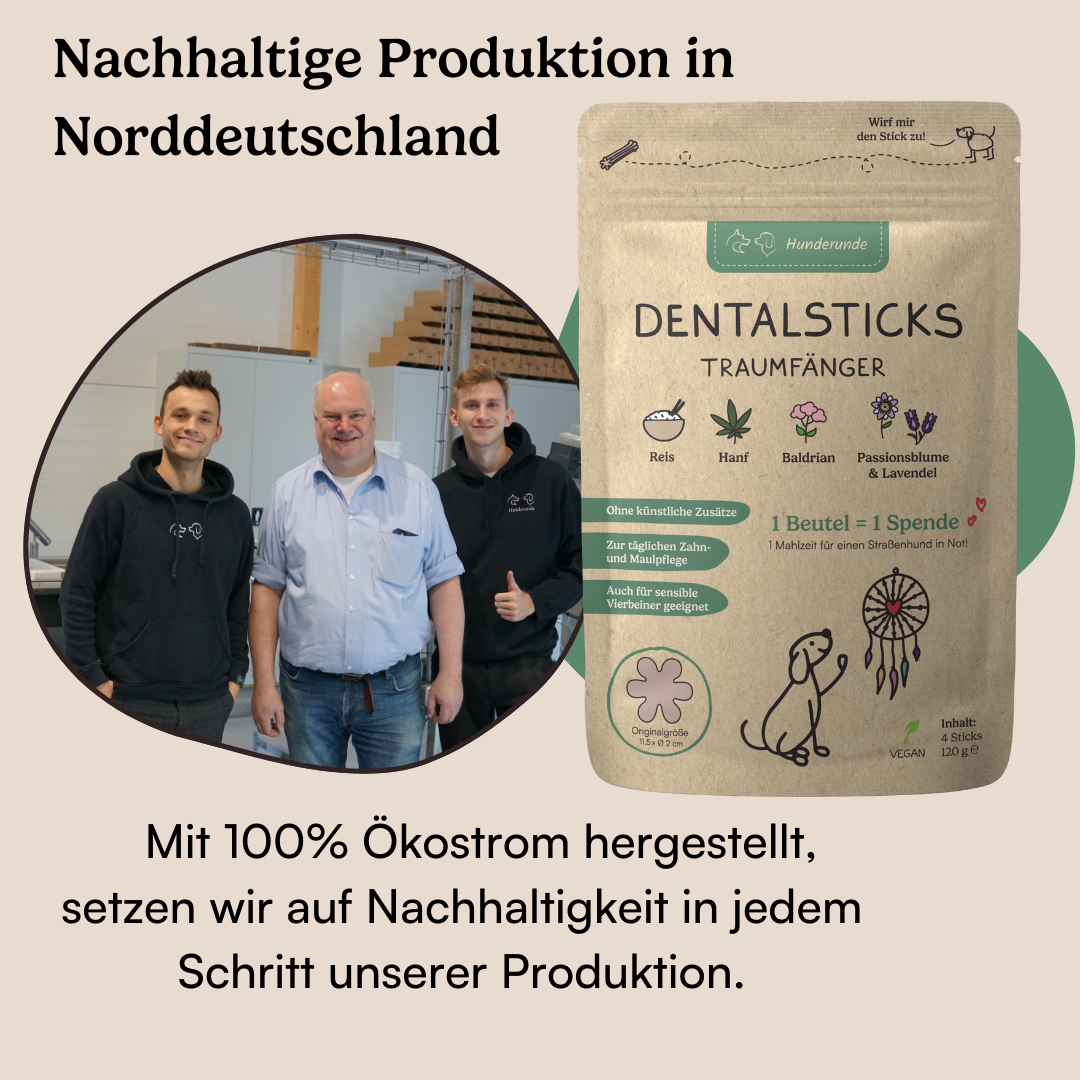 Dental Sticks Traumfänger