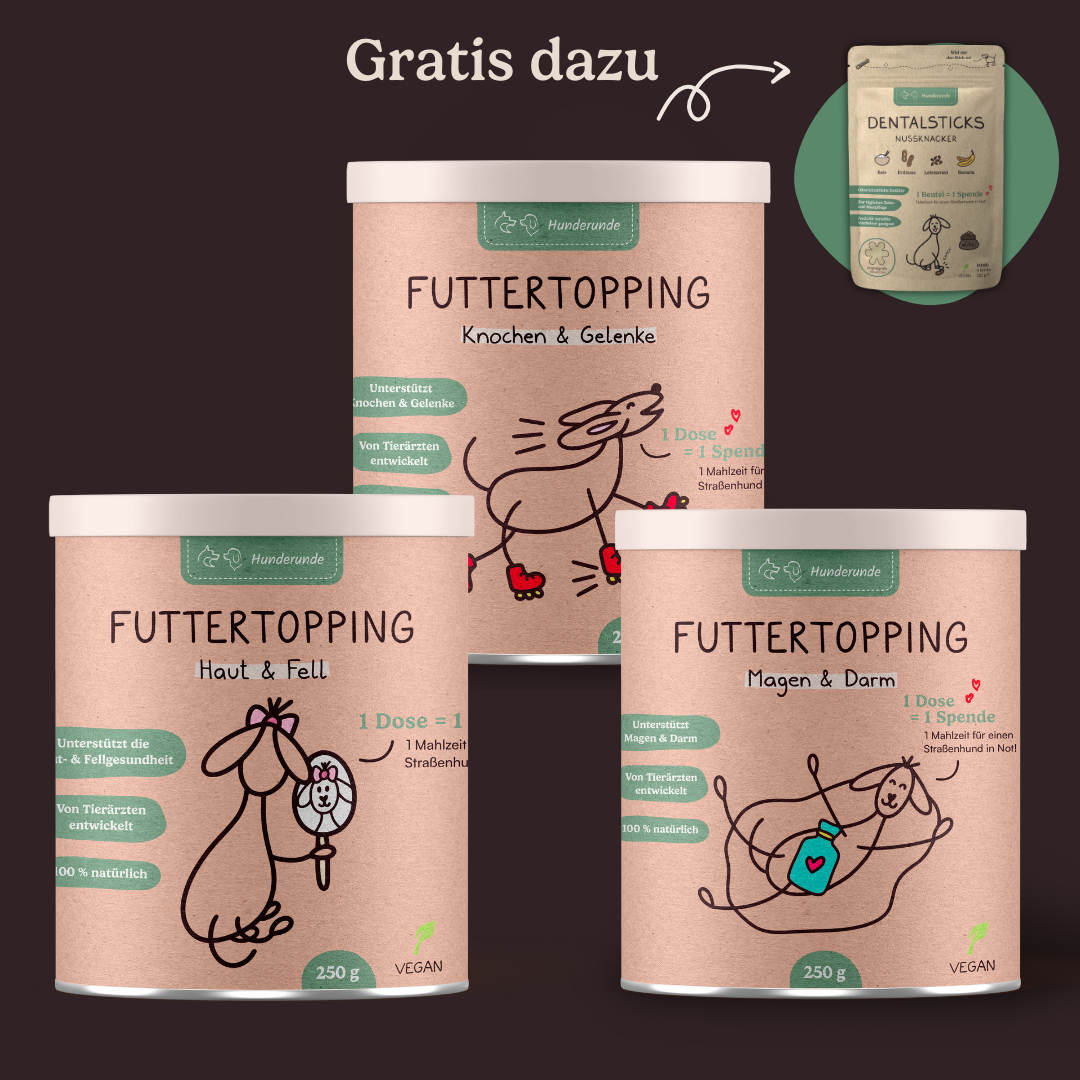 Waunachtsbox für Hunde