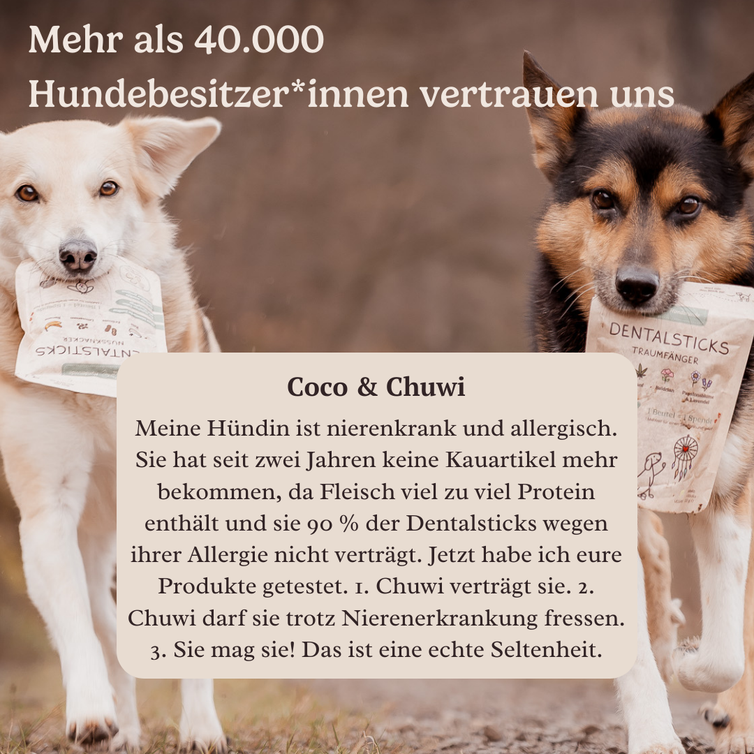 Dental Sticks Traumfänger