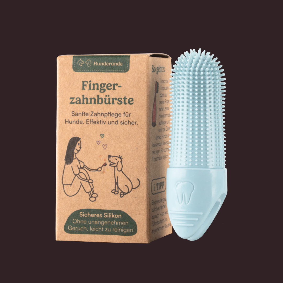 Hundezahnbürste - hygiensich & pflegeleicht