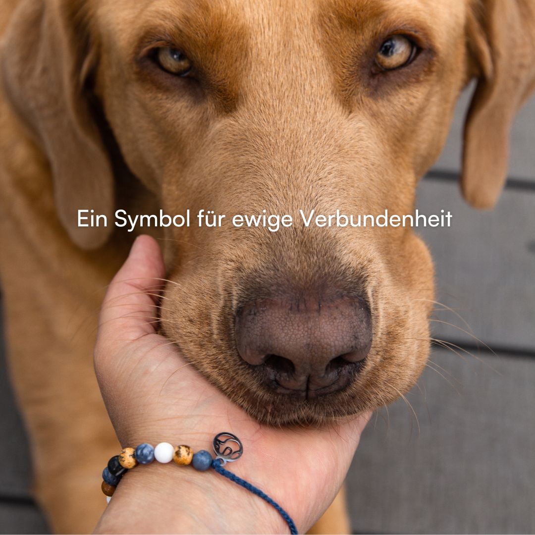 Seelenhund Armband