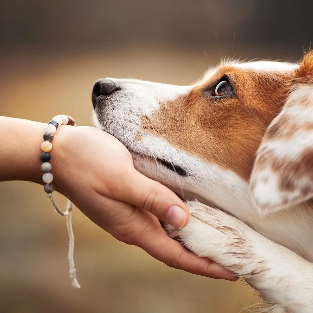 Mein Hunde Armband