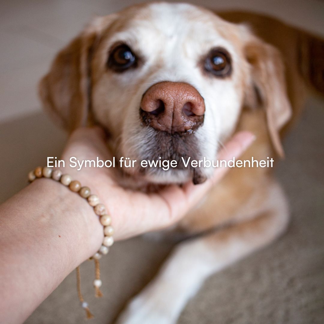 Hunde Armband