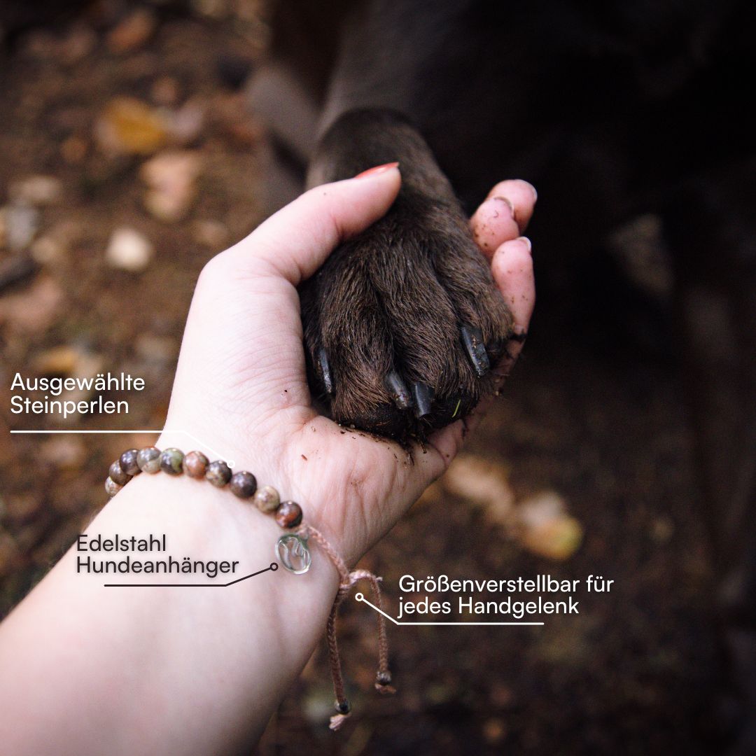 Hunde Armband