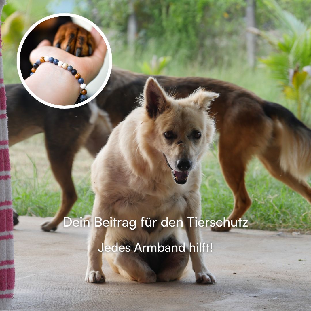 Tierschutz Armband