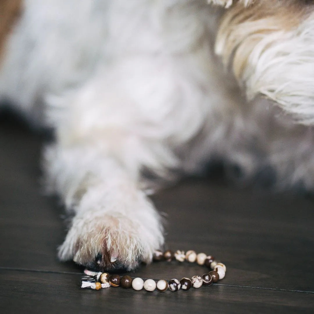 Mein Hunde Armband