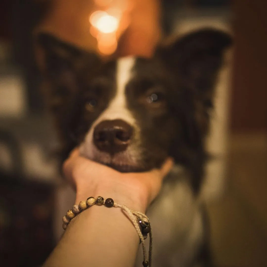 Mein Hunde Armband