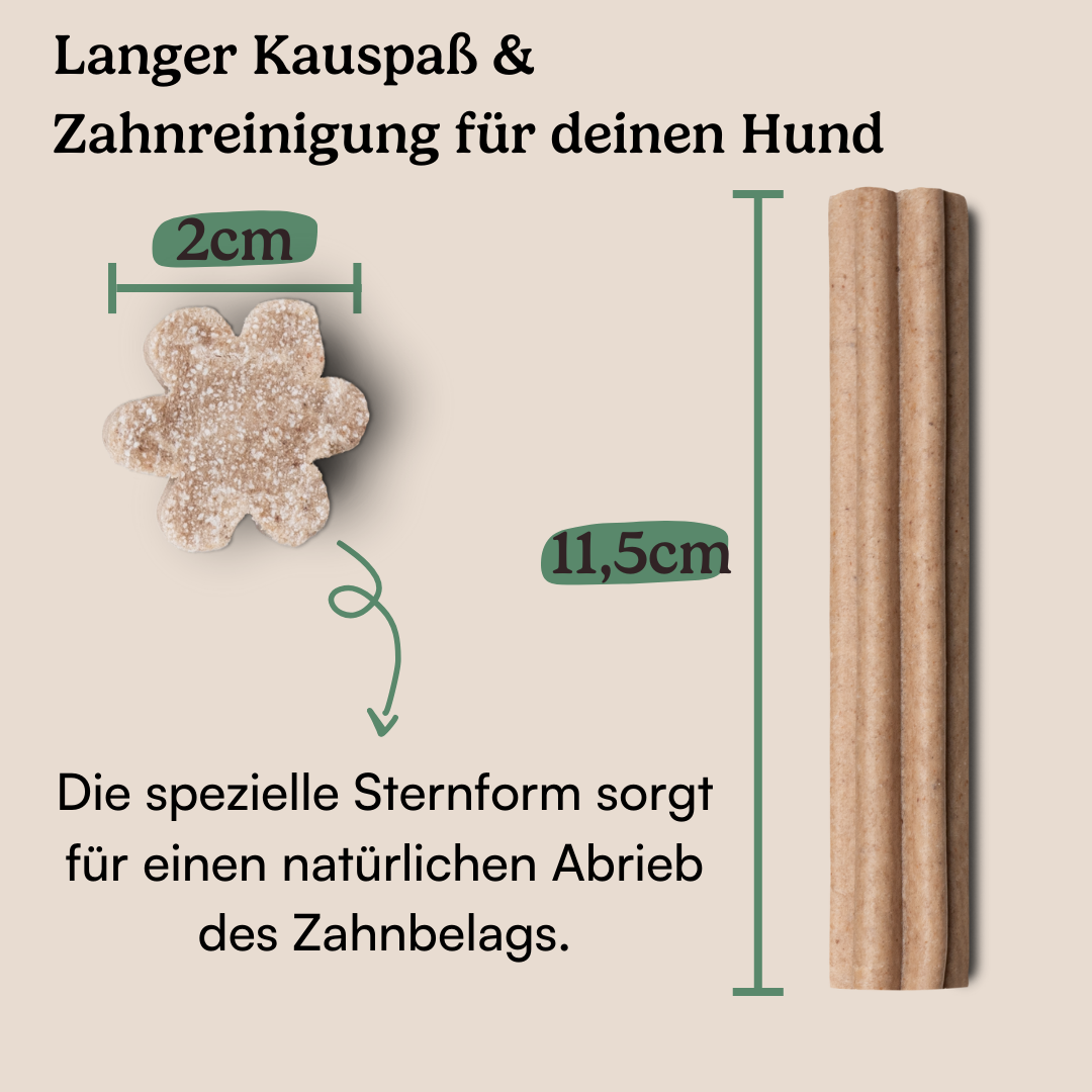 Dental Sticks Probierpaket