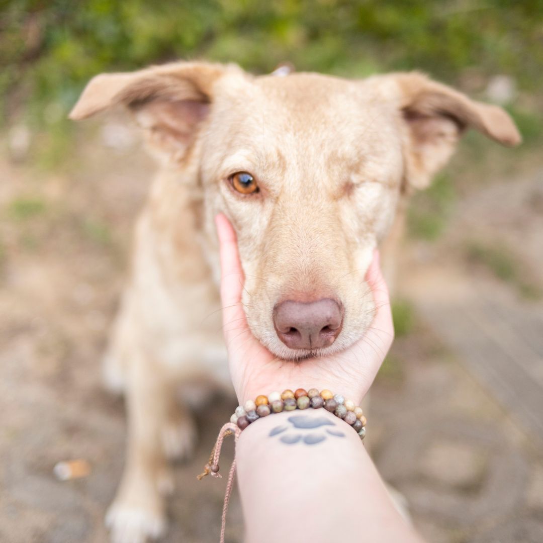 Hunde Armband