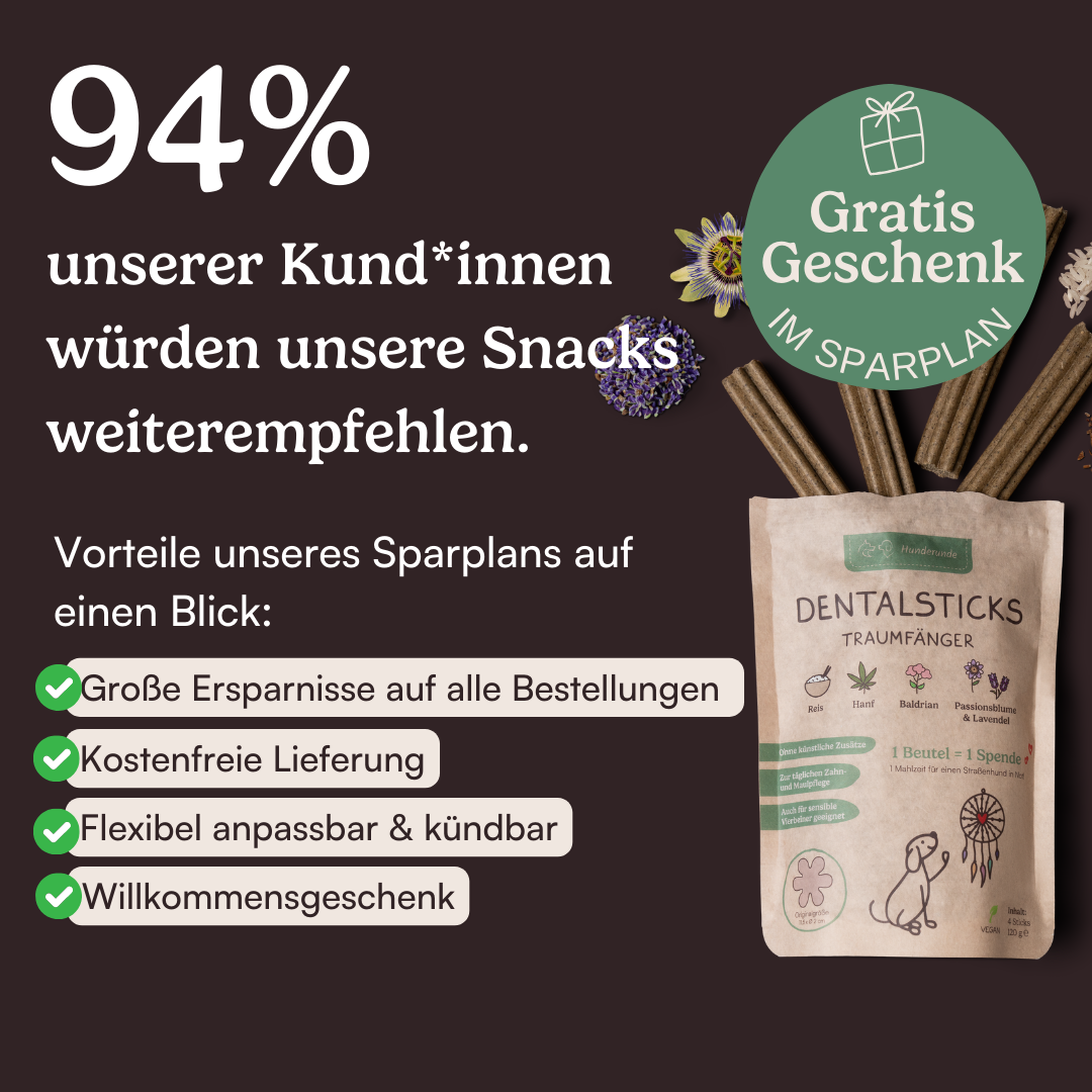 Dental Sticks Traumfänger