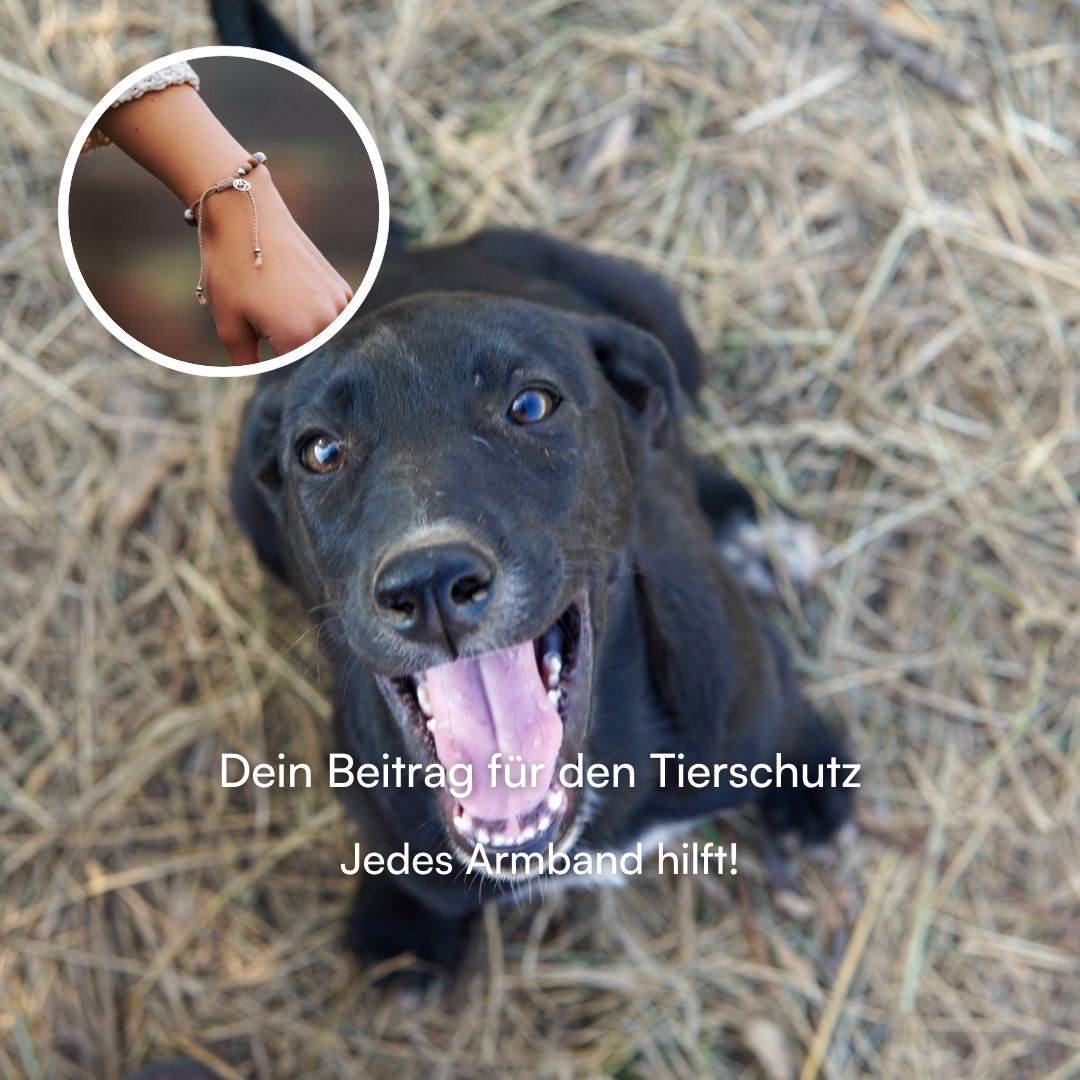 Tierschutz Armband