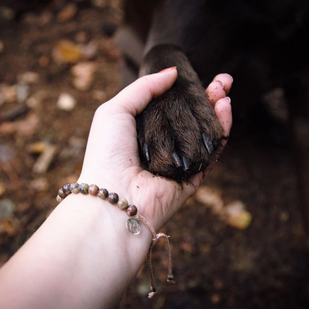 Mein Hunde Armband
