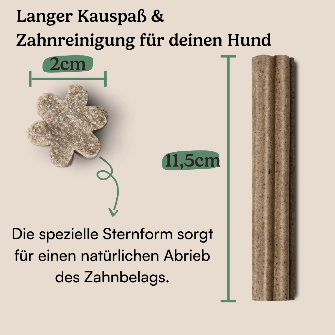 Dental Sticks Traumfänger