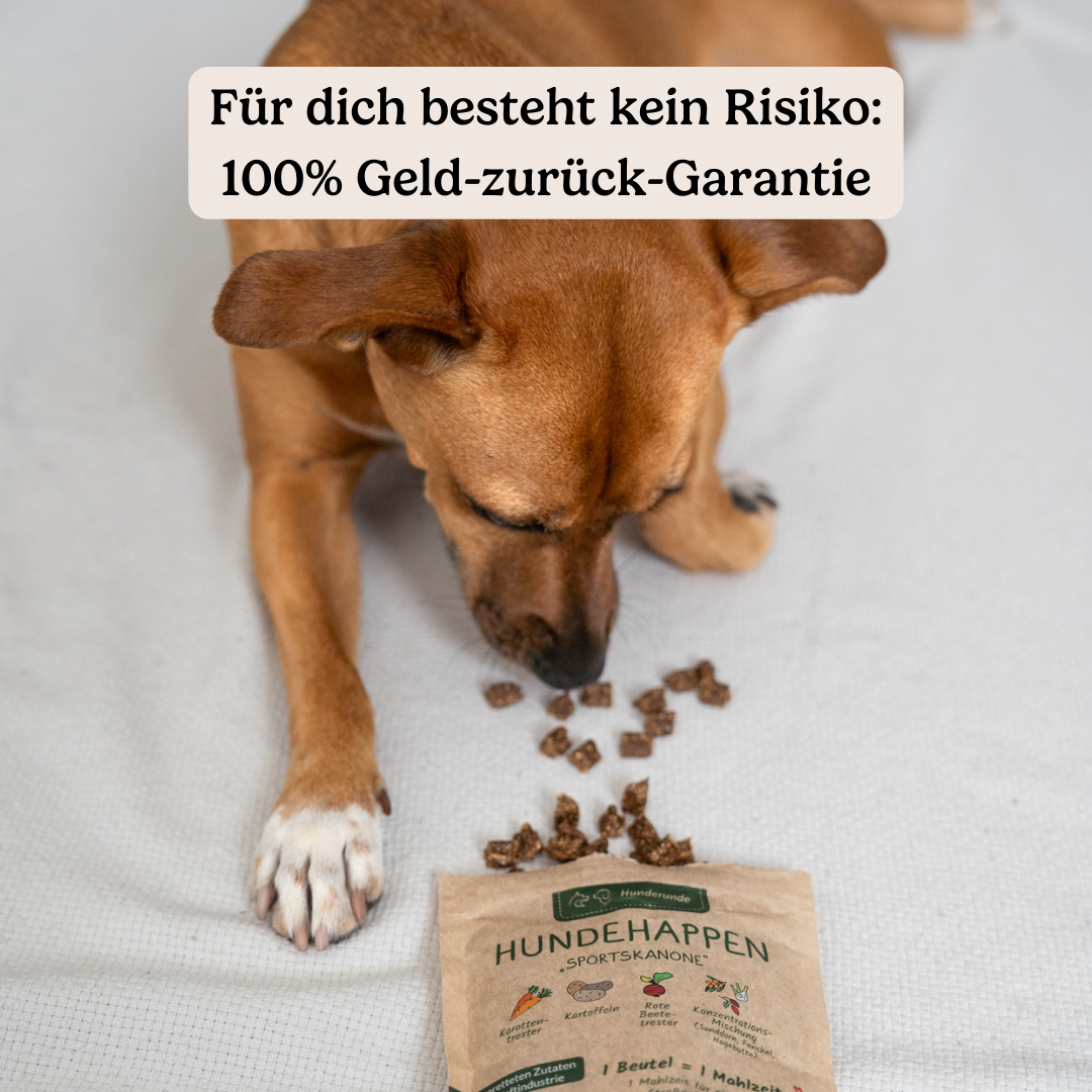 Hundehappen Sportskanone