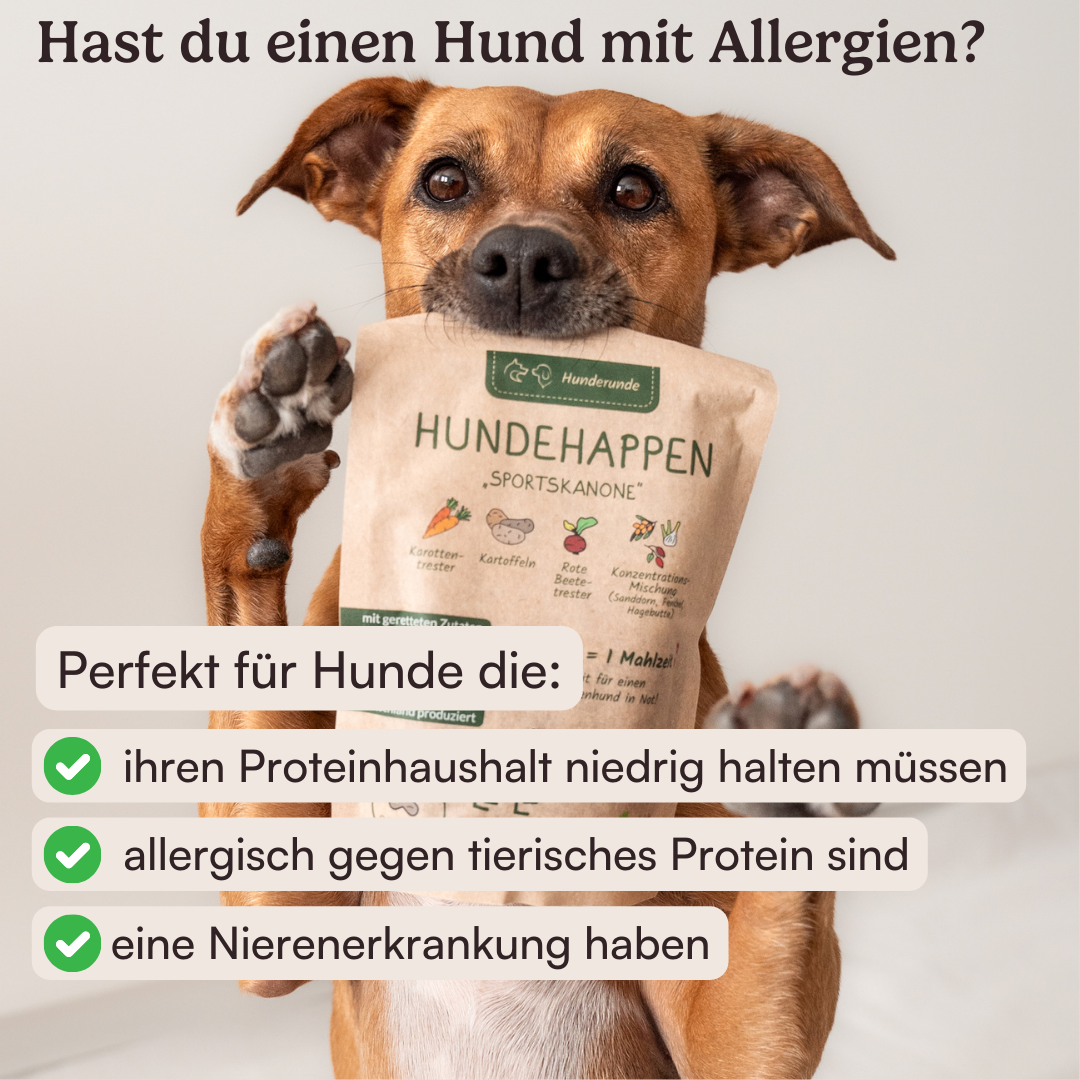 Hundehappen Schlafmütze