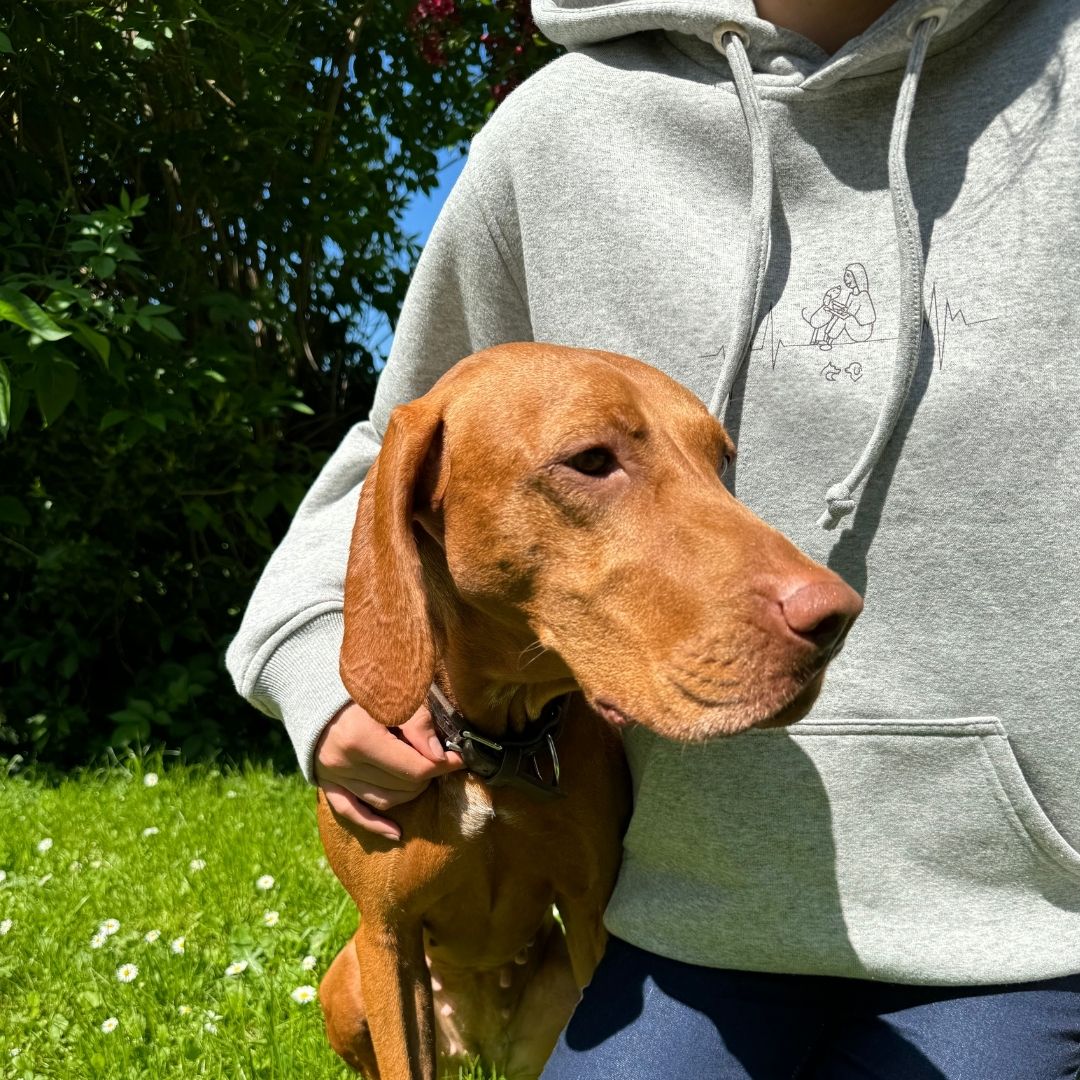 Jubiläums Hoodie grau