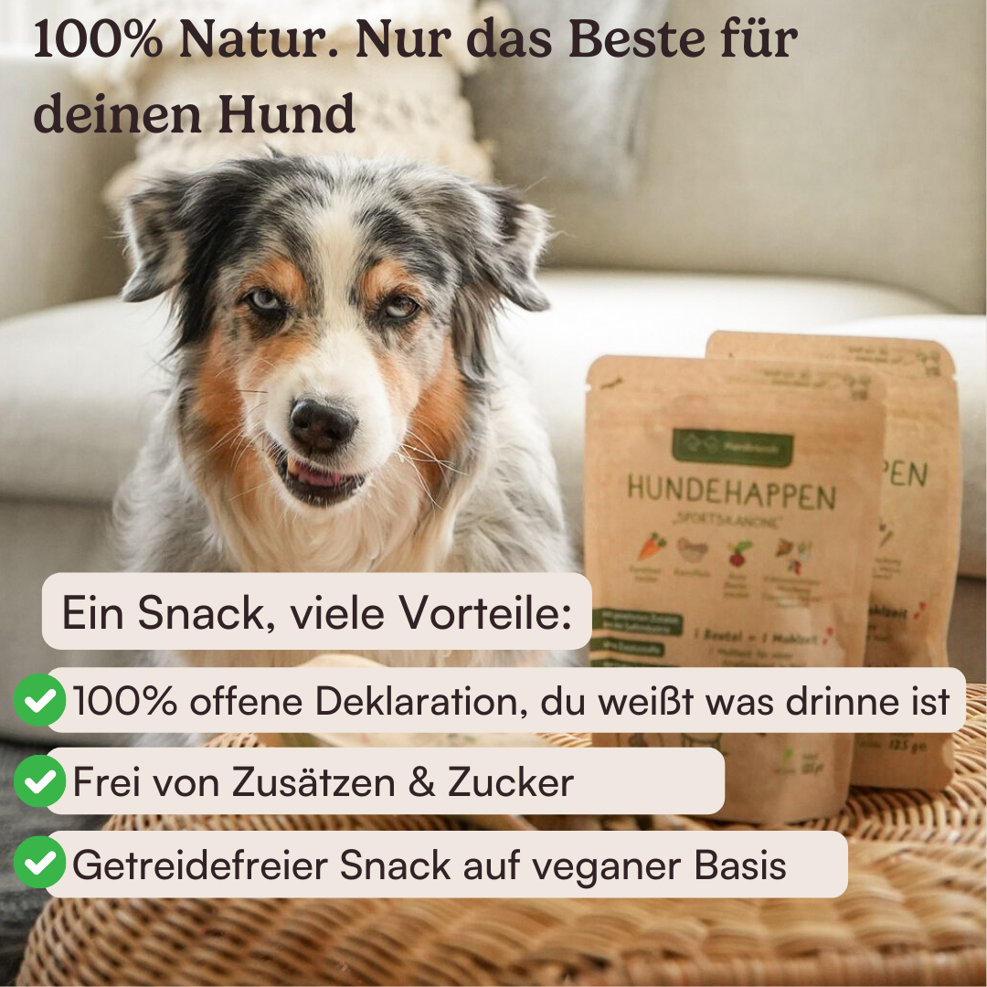 Hundehappen Morgenmuffel