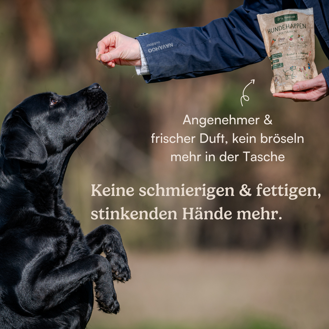 Hundehappen Sportskanone
