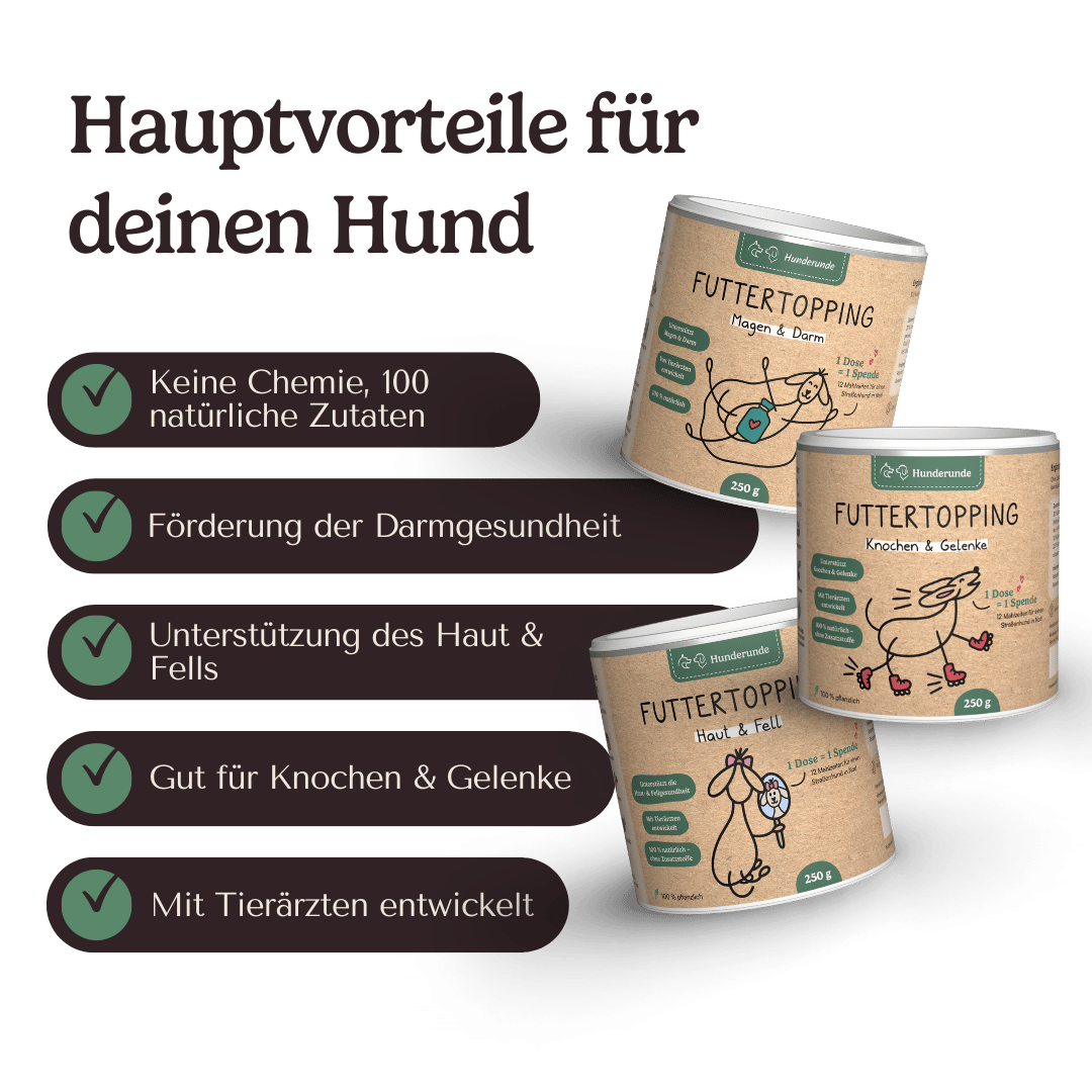 Drei Dosen Topping Vorteilspaket für Hunde – Hauptvorteile auf Deutsch mit Häkchen.