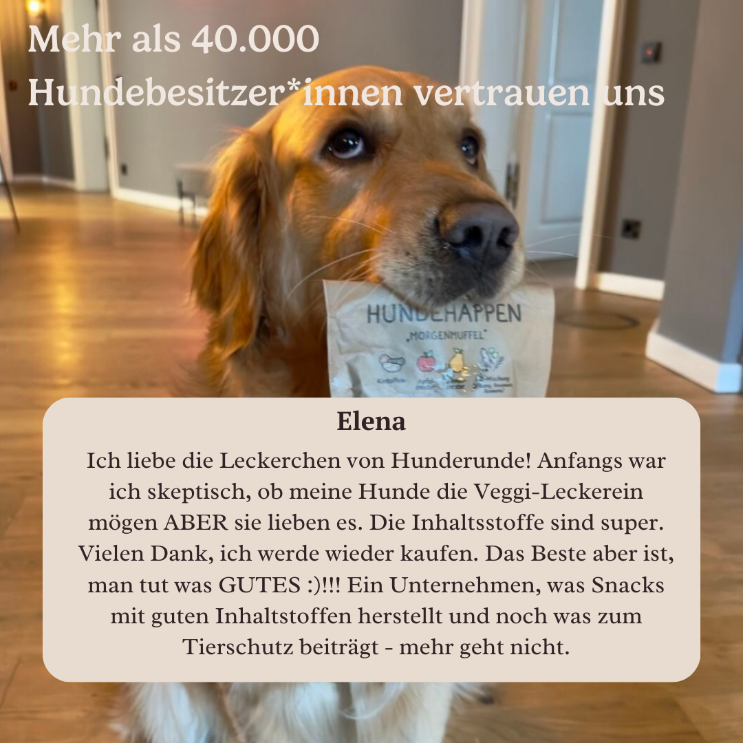 Hundehappen Morgenmuffel