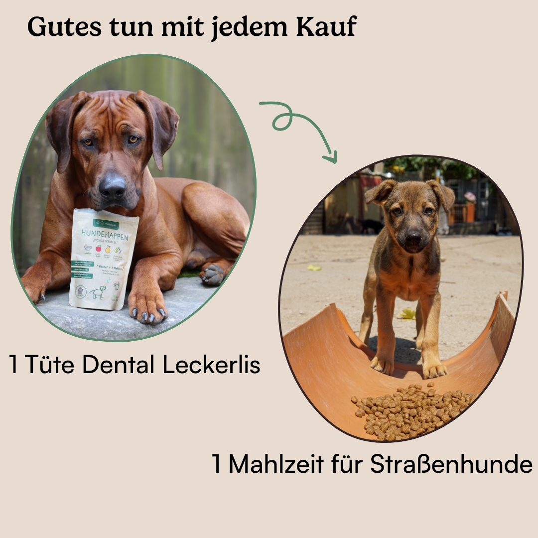 Hundehappen Schlafmütze