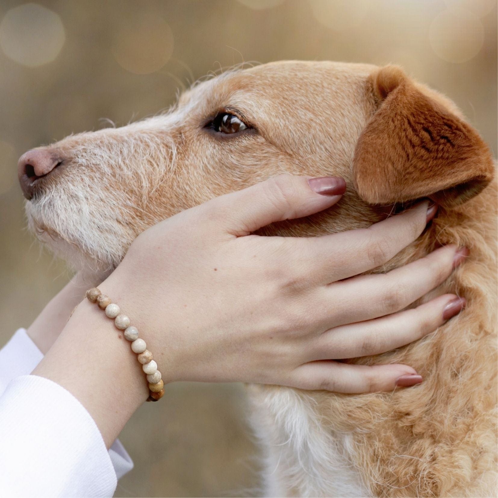 Mein Hunde Armband