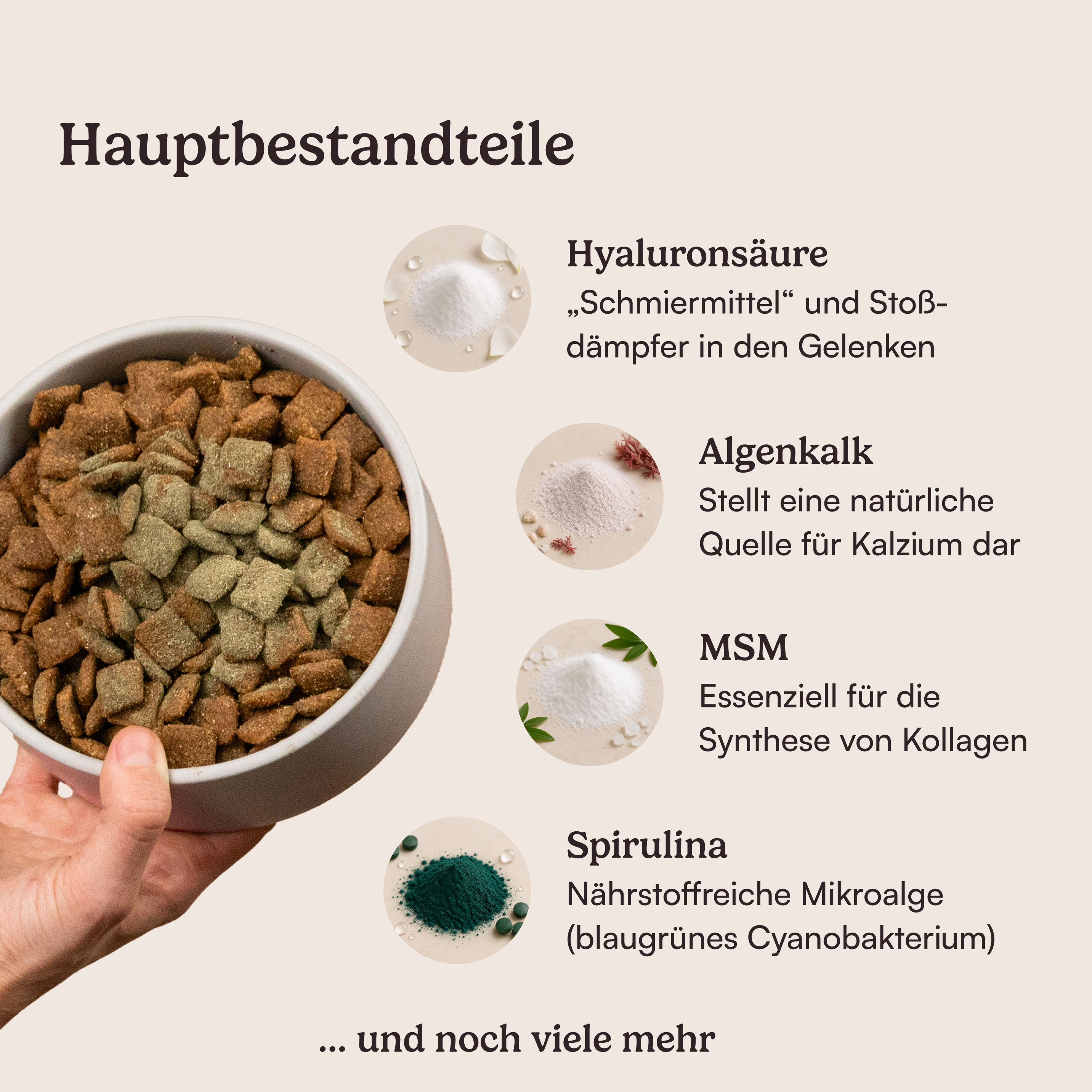Futtertopping Knochen & Gelenke