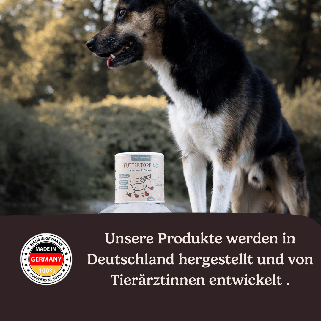 A dog sits outdoors behind a container of Topping Vorteilspaket pet food; German text highlights that it’s locally made and vet-developed.