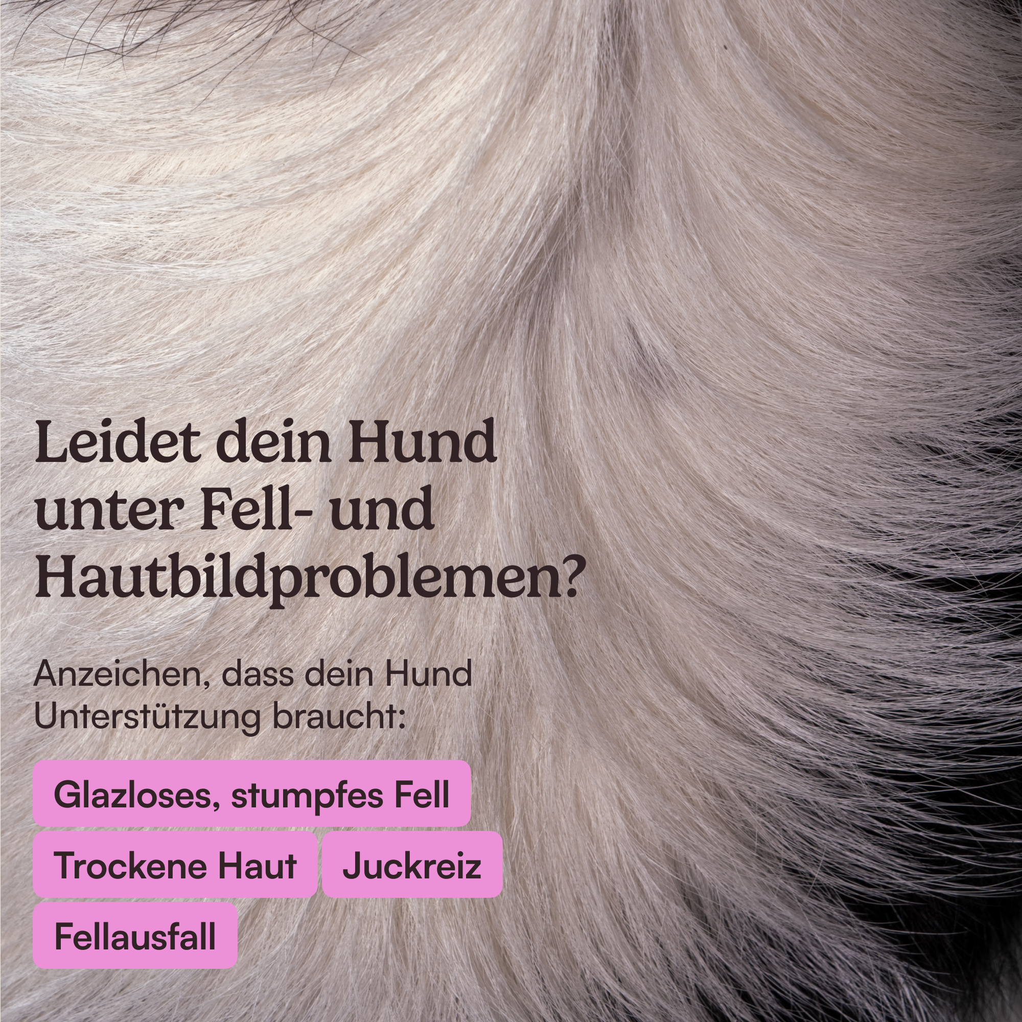 Futtertopping Fellglanz