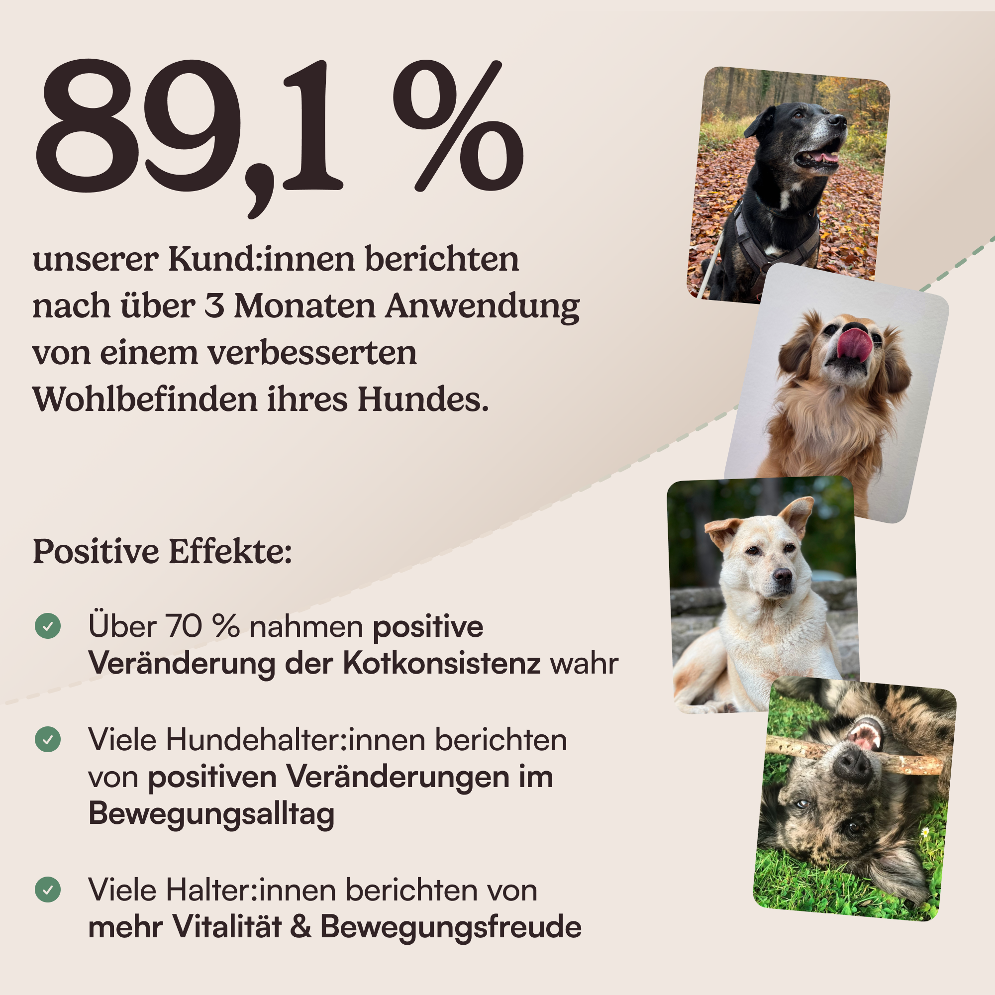 Futtertopping Bewegungsfreude