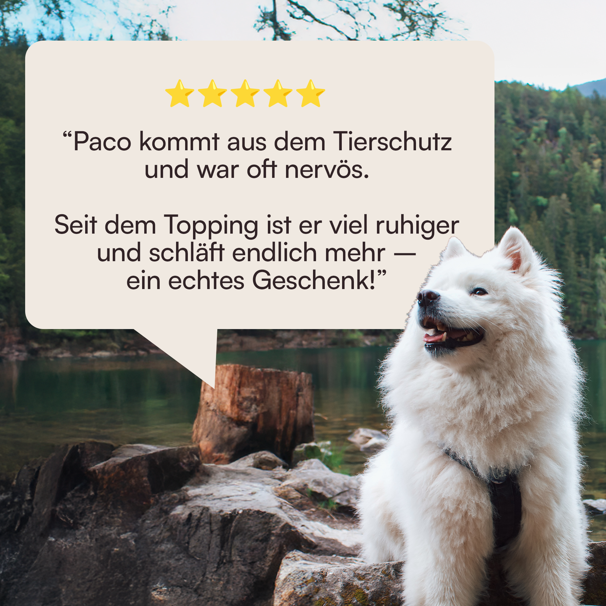 Futtertopping Ruhe & Gelassenheit