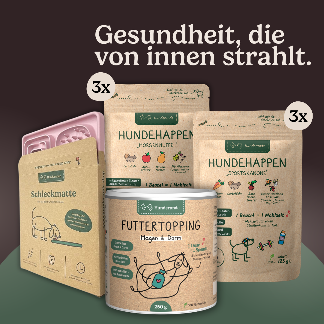 Magen & Darm-Set Hundehoppe pet food products and packaging on display, featuring German text highlighting digestive health benefits.