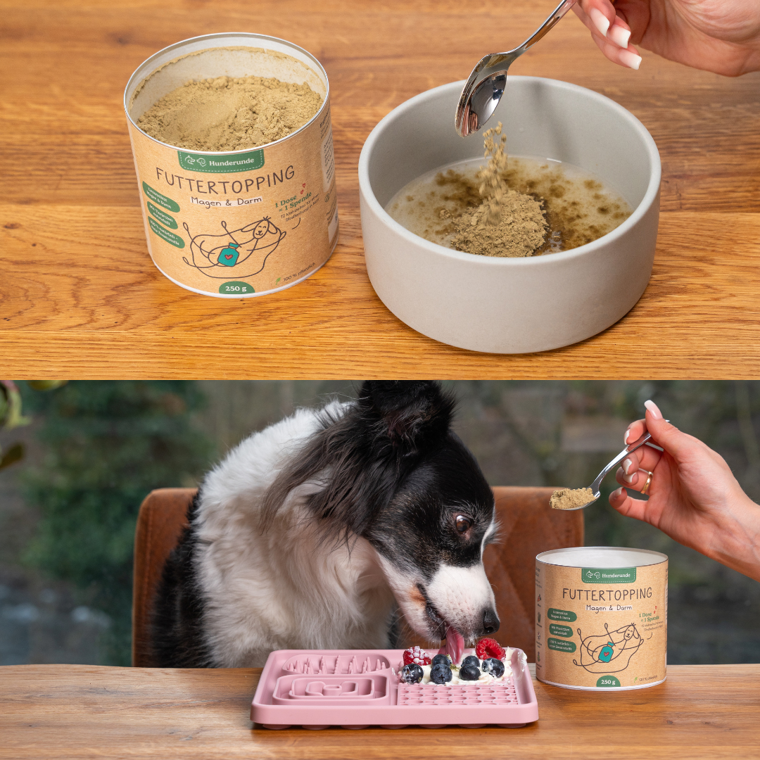 Top: Powder from the Topping & Snack Bundle sprinkled in a bowl. Bottom: Dog eating food topped with the Topping & Snack Bundle.