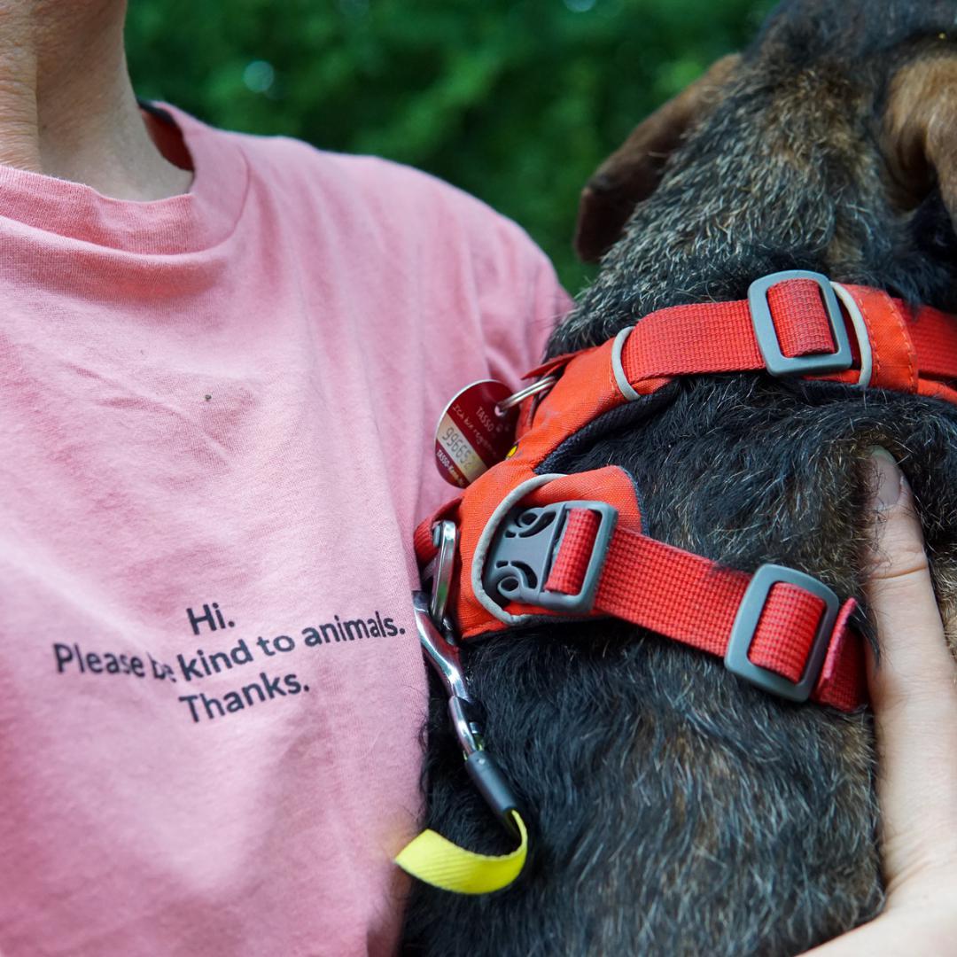 Hunderunde T-Shirt - Be kind to animals - Coral