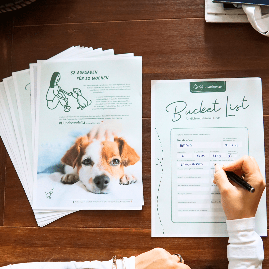 Bucket List - 52 Tage Challenge für dich und deinen Hund
