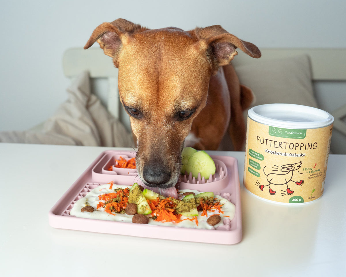 Mehr als nur ein Topping: So wird jede Mahlzeit zum Highlight für deinen Hund