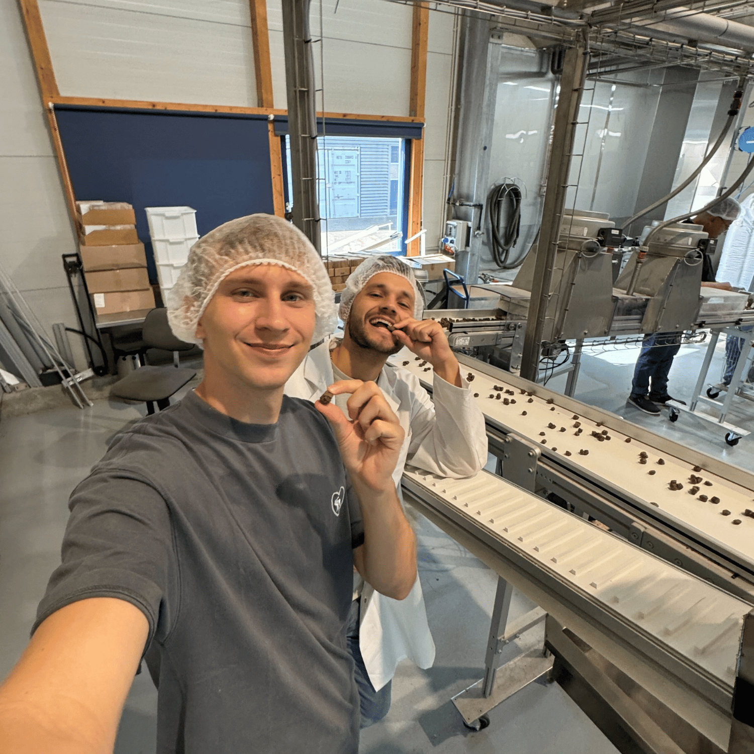 Die Wahrheit über Hundefutter: Warum wir mit Hunderunde einen anderen Weg gehen