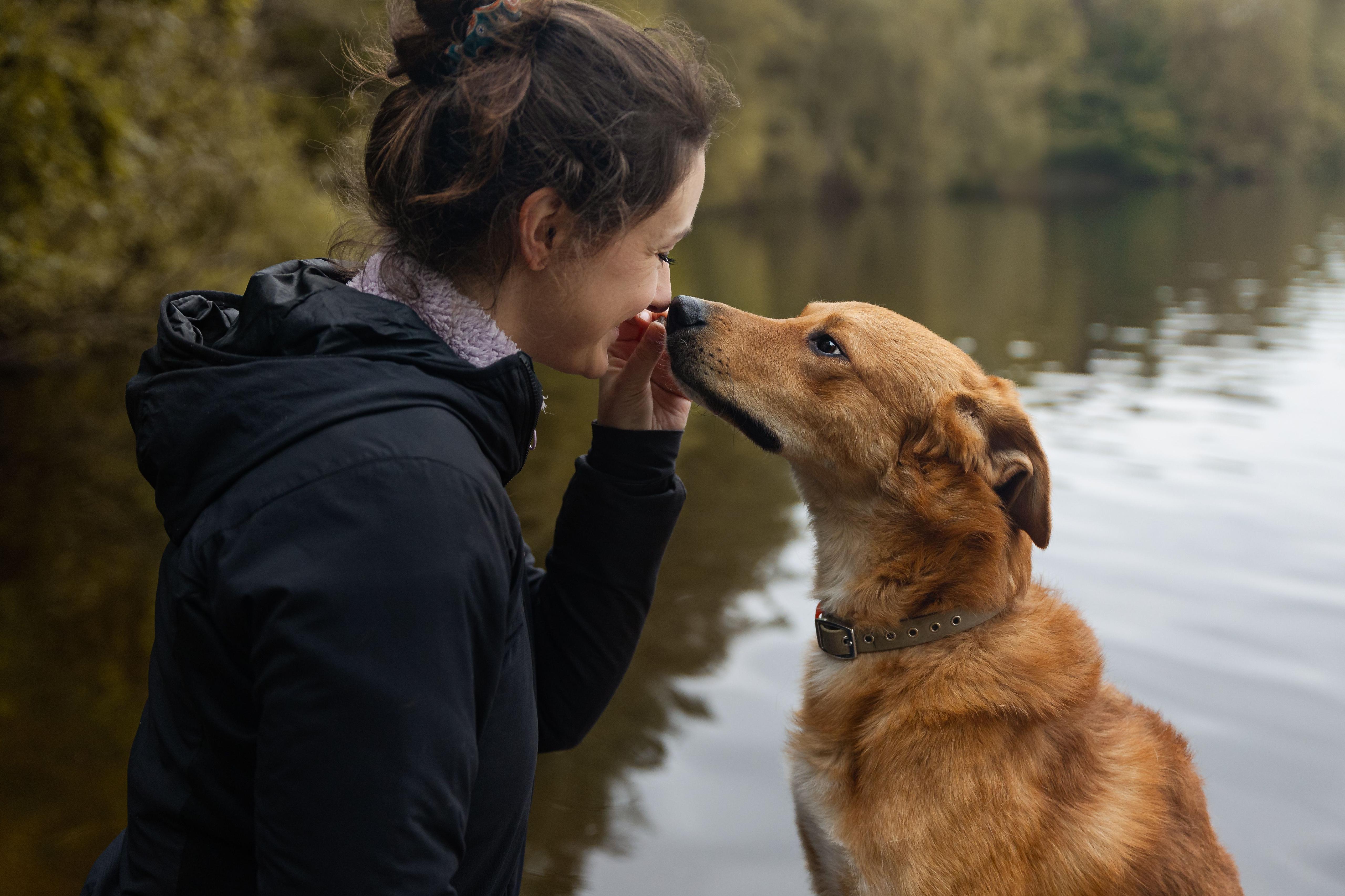 Gesunder Magen-Darm-Trakt – Basis für Vitalität und Wohlbefinden