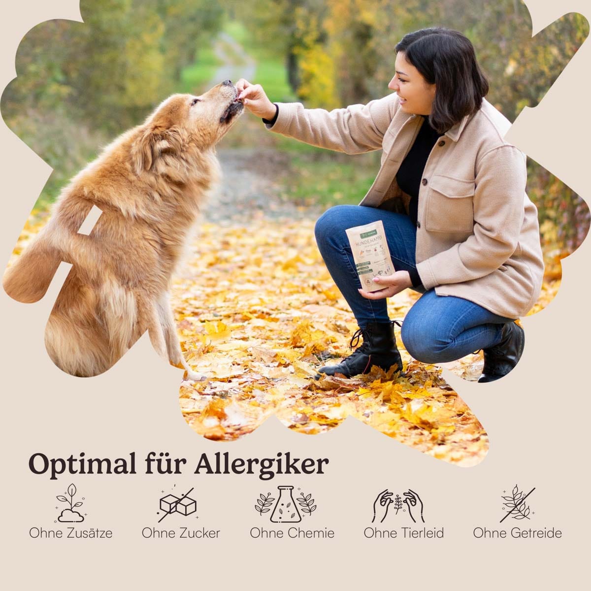 Vegane Schlemmerbox für Hunde mit einer Auswahl an Hundehappen und Dentalsticks, unterstützt Straßenhunde in Rumänien. Ideal für Allergiker und wählerische Esser.