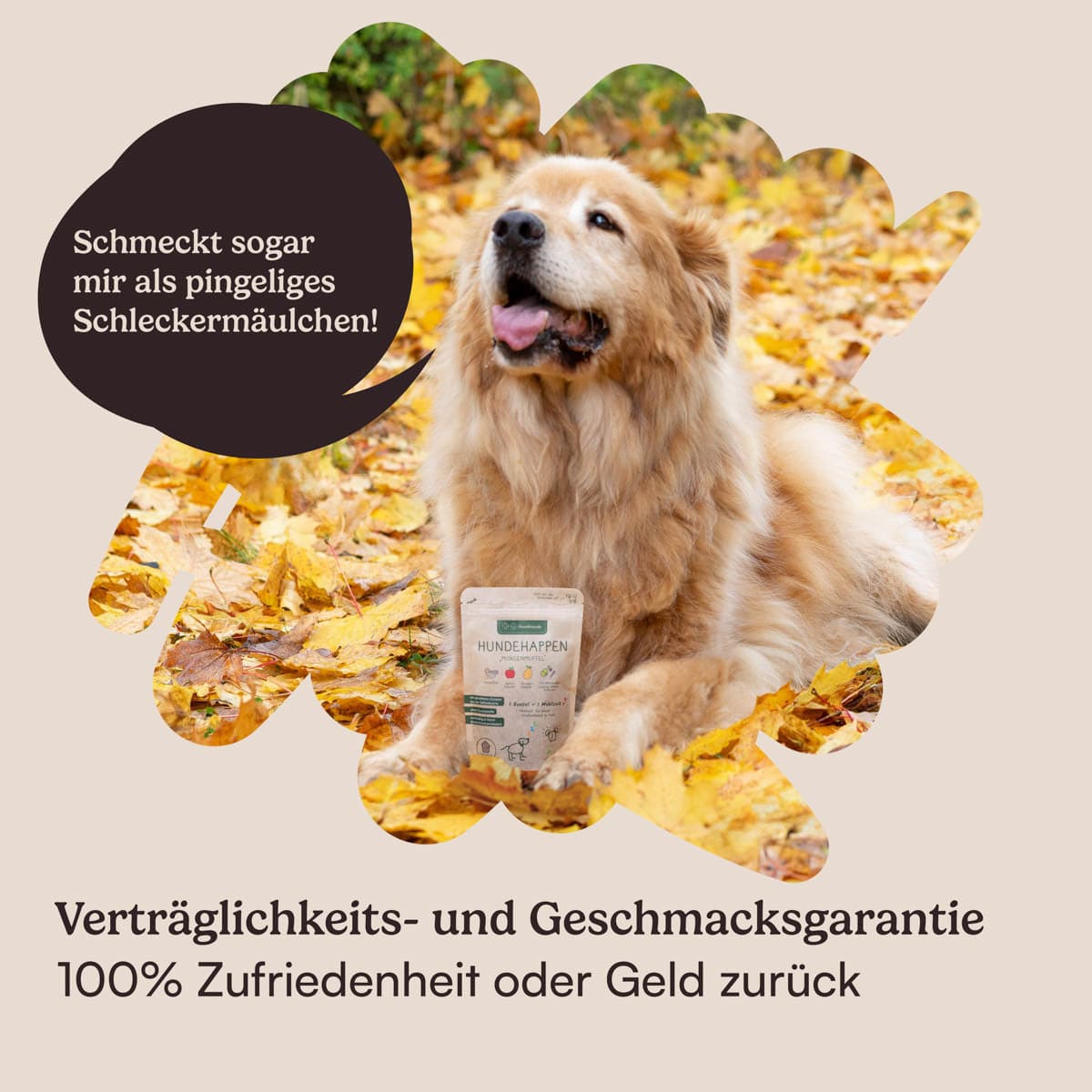 Hundehappen Probierpaket