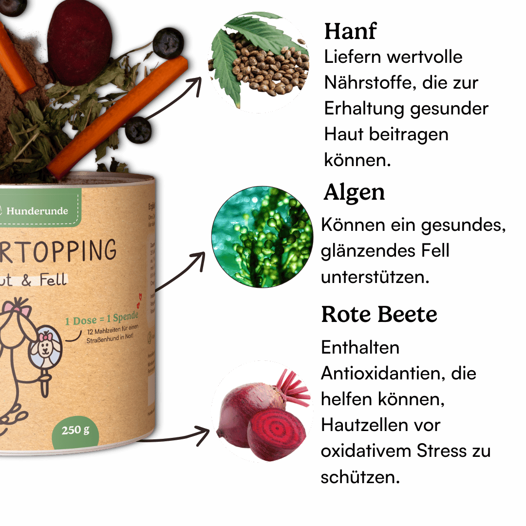 Topping Vorteilspaket can for dogs with illustrated label; contains carrots, beets, herbs, and includes ingredient info for hemp, algae, and beets.