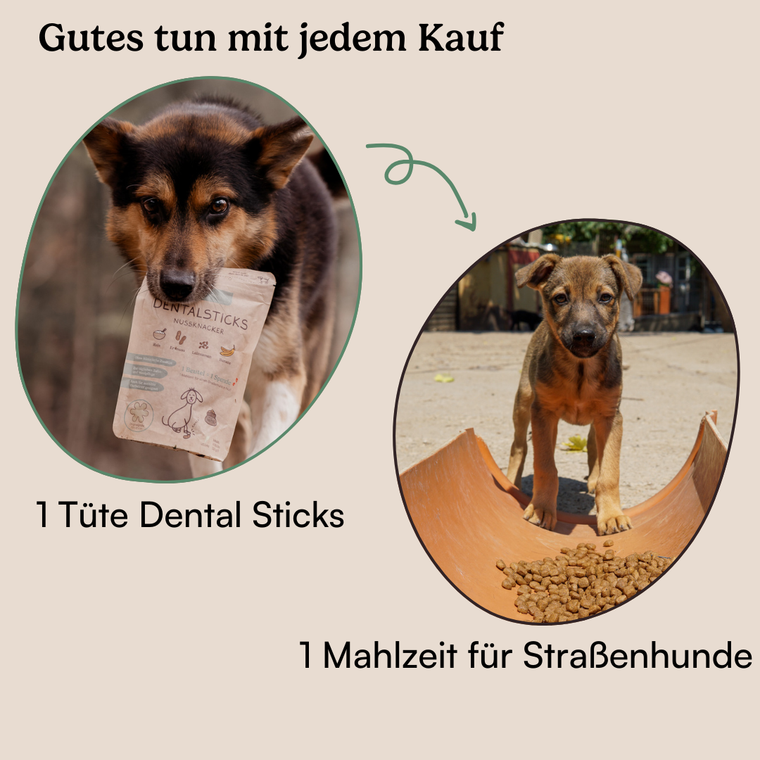 Dental Sticks Probierpaket