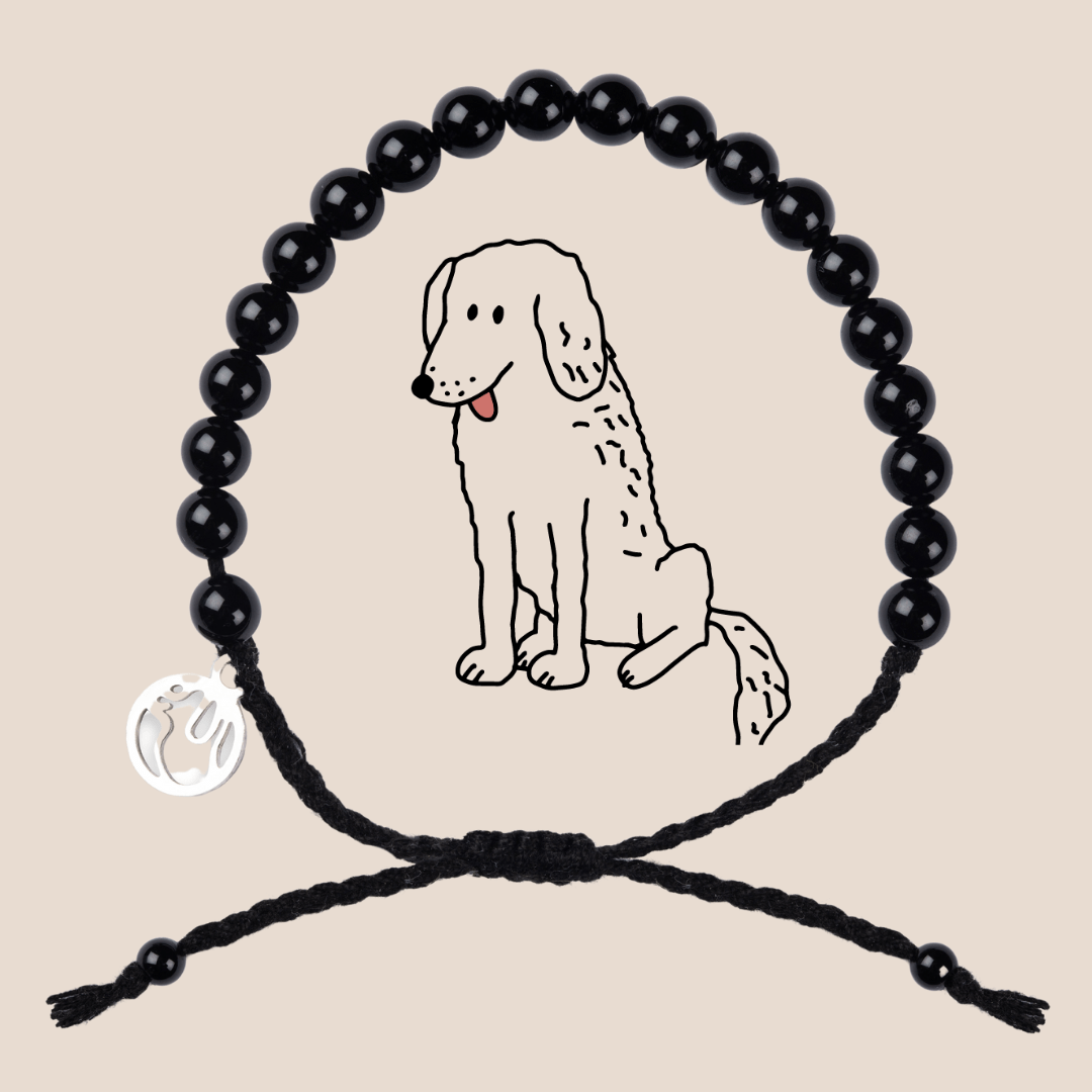 Labrador Armband