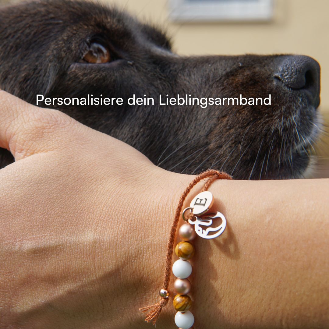 Regenbogen-Brücken Armband mit Gravur für Erinnerung an verstorbene Hunde, unterstützt Straßenhunde in Rumänien.