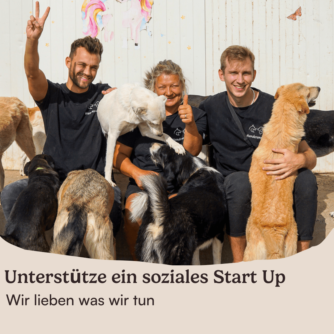 Tierschutz Startup