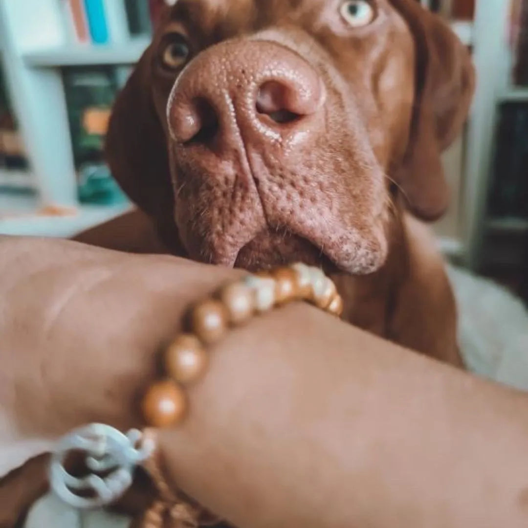 Mein Hunde Armband