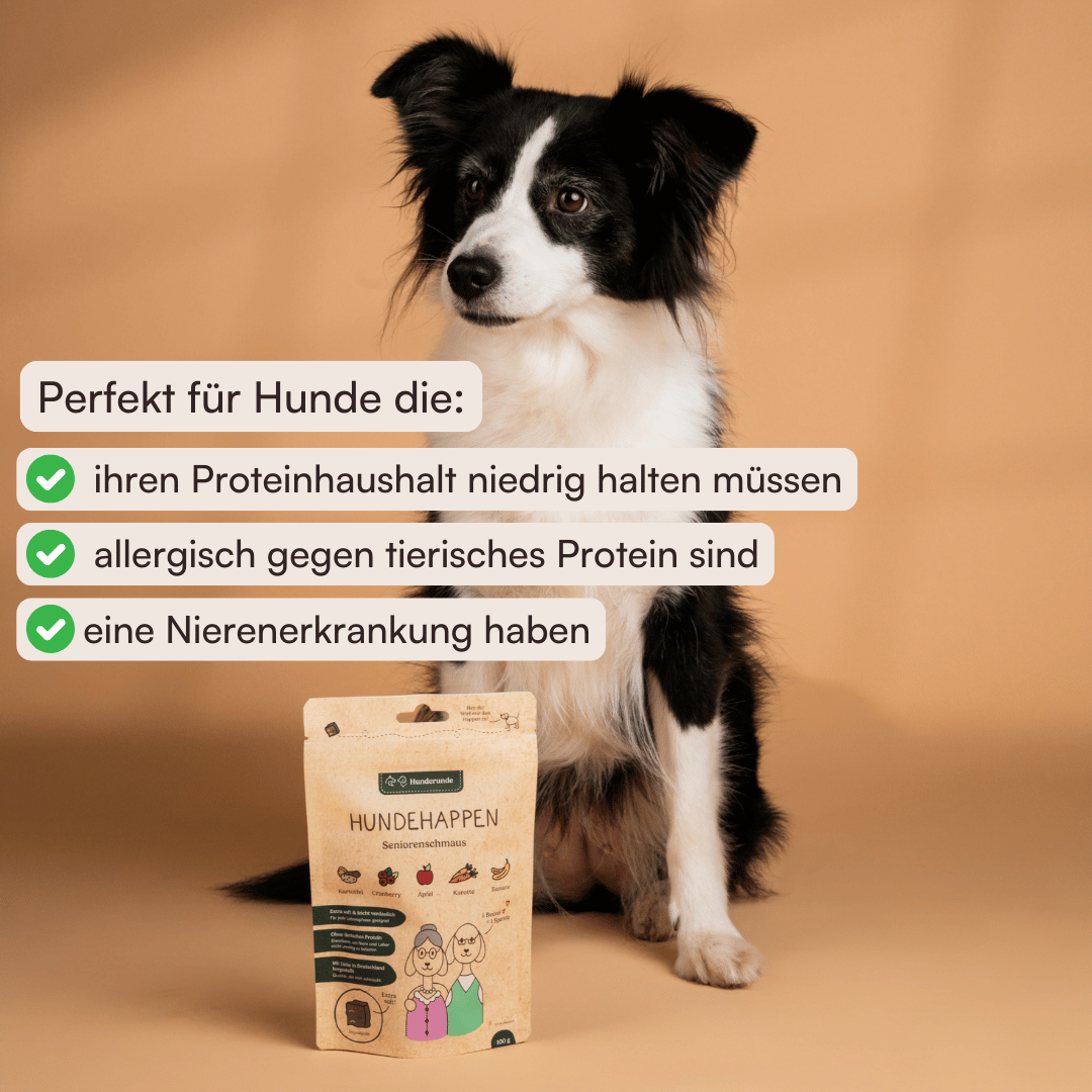 Hundehappen Seniorenschmaus